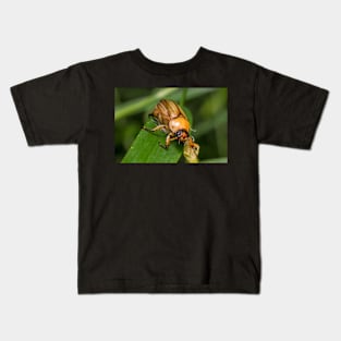 Unique and organic photo of an Anomalla cf. pallida chafer beetle Kids T-Shirt